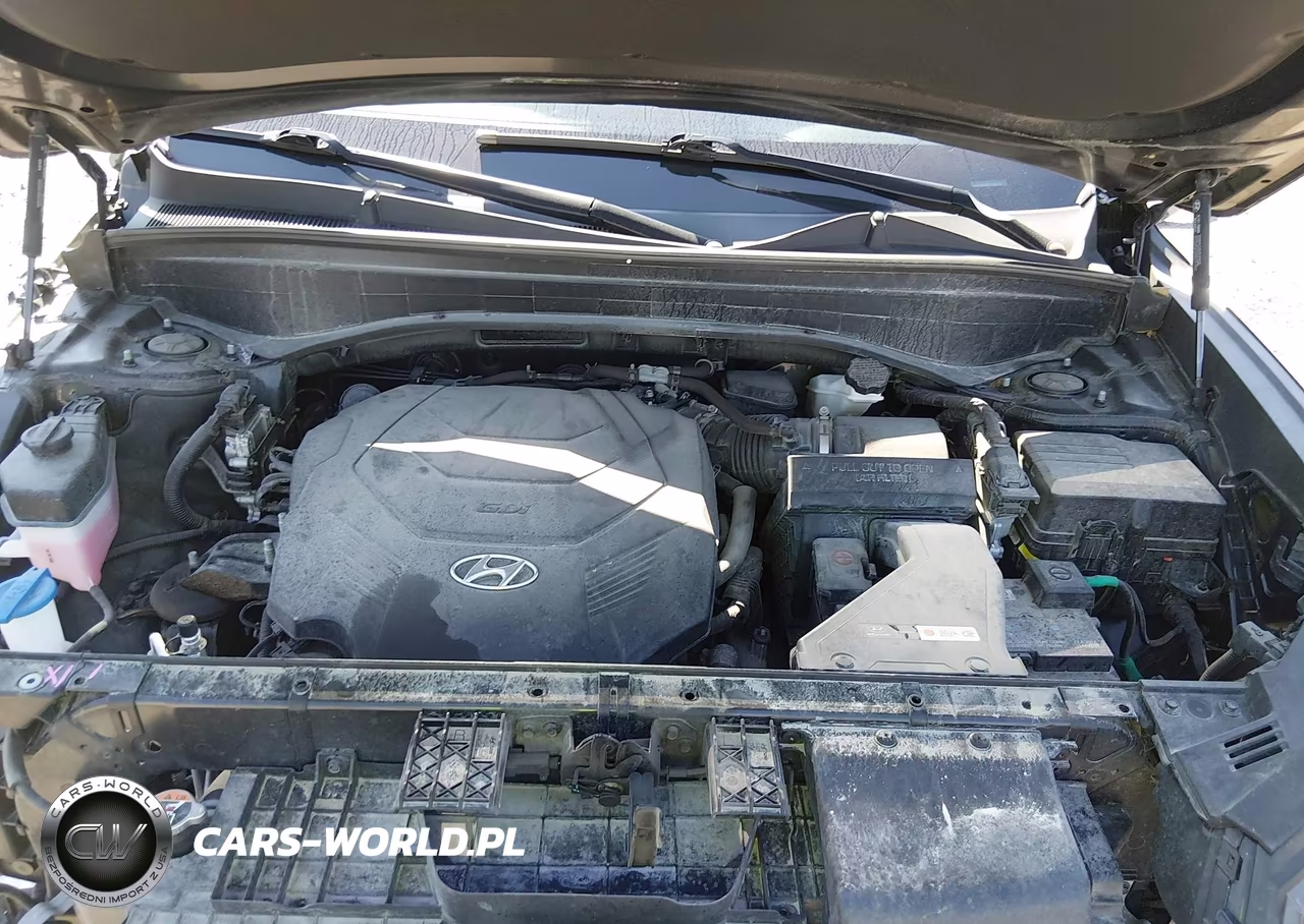 2023 Hyundai Palisade Xrt VIN:KM8R3DGE6PU549742 - 10