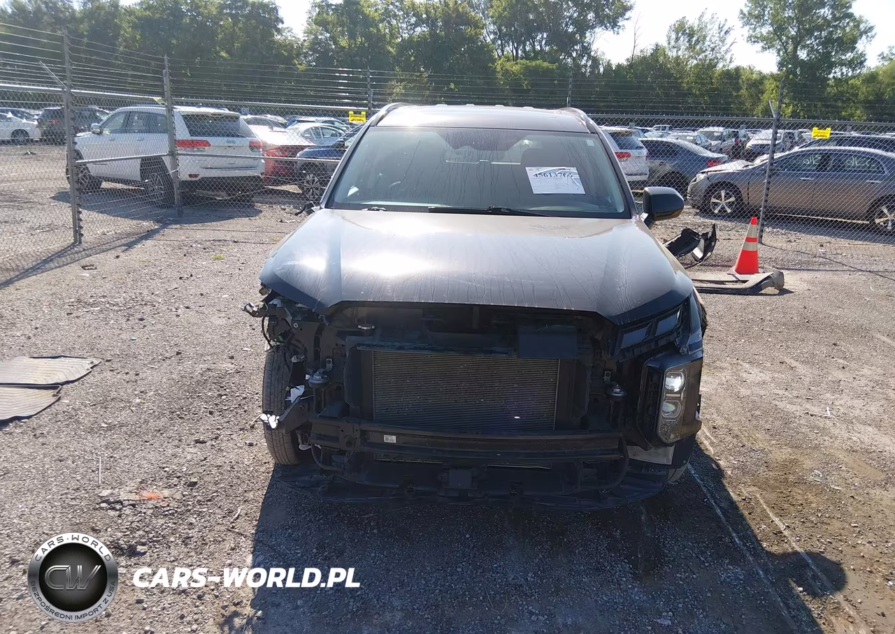 2023 Hyundai Palisade Xrt VIN:KM8R3DGE6PU549742 - 12