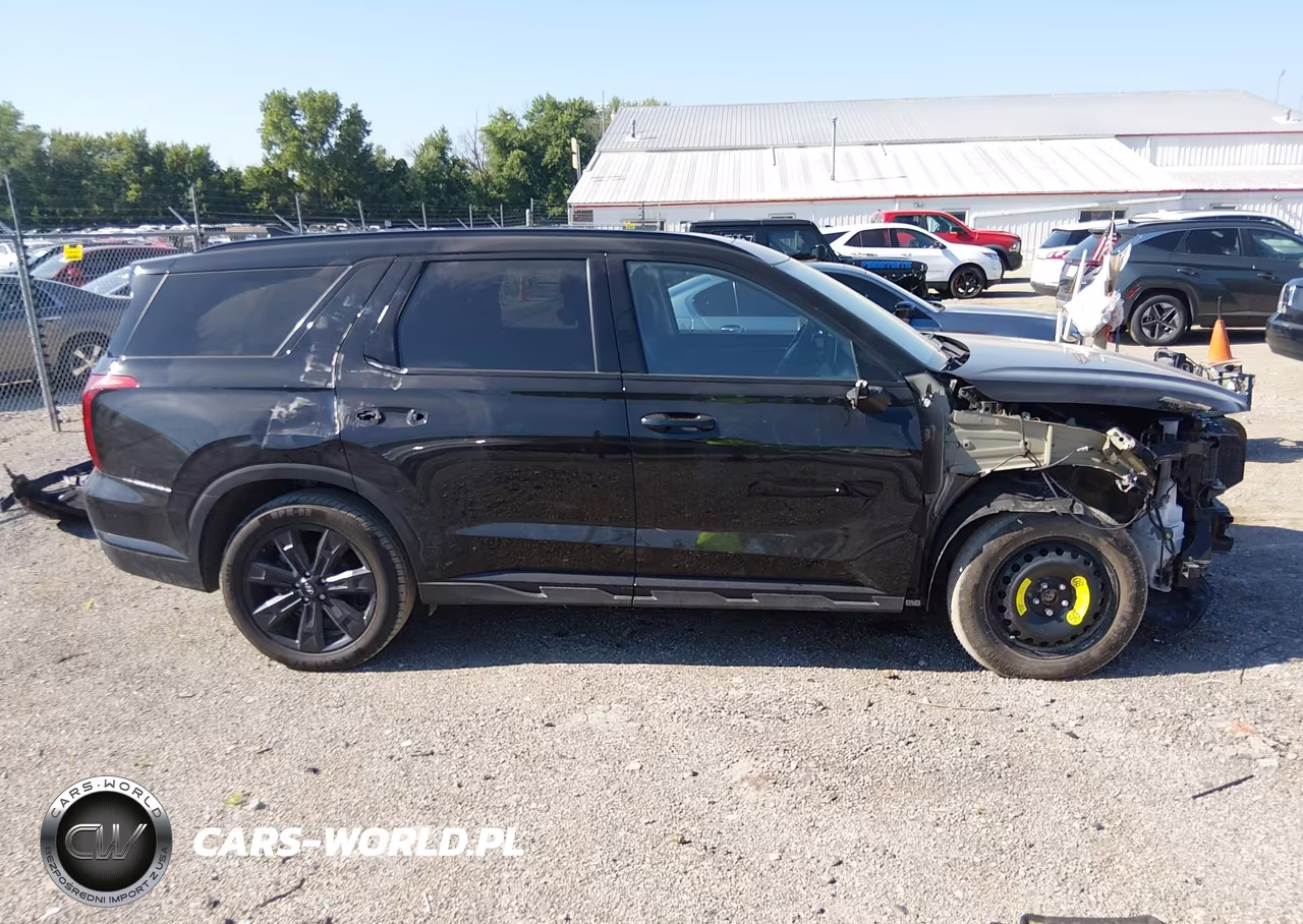 2023 Hyundai Palisade Xrt VIN:KM8R3DGE6PU549742 - 13