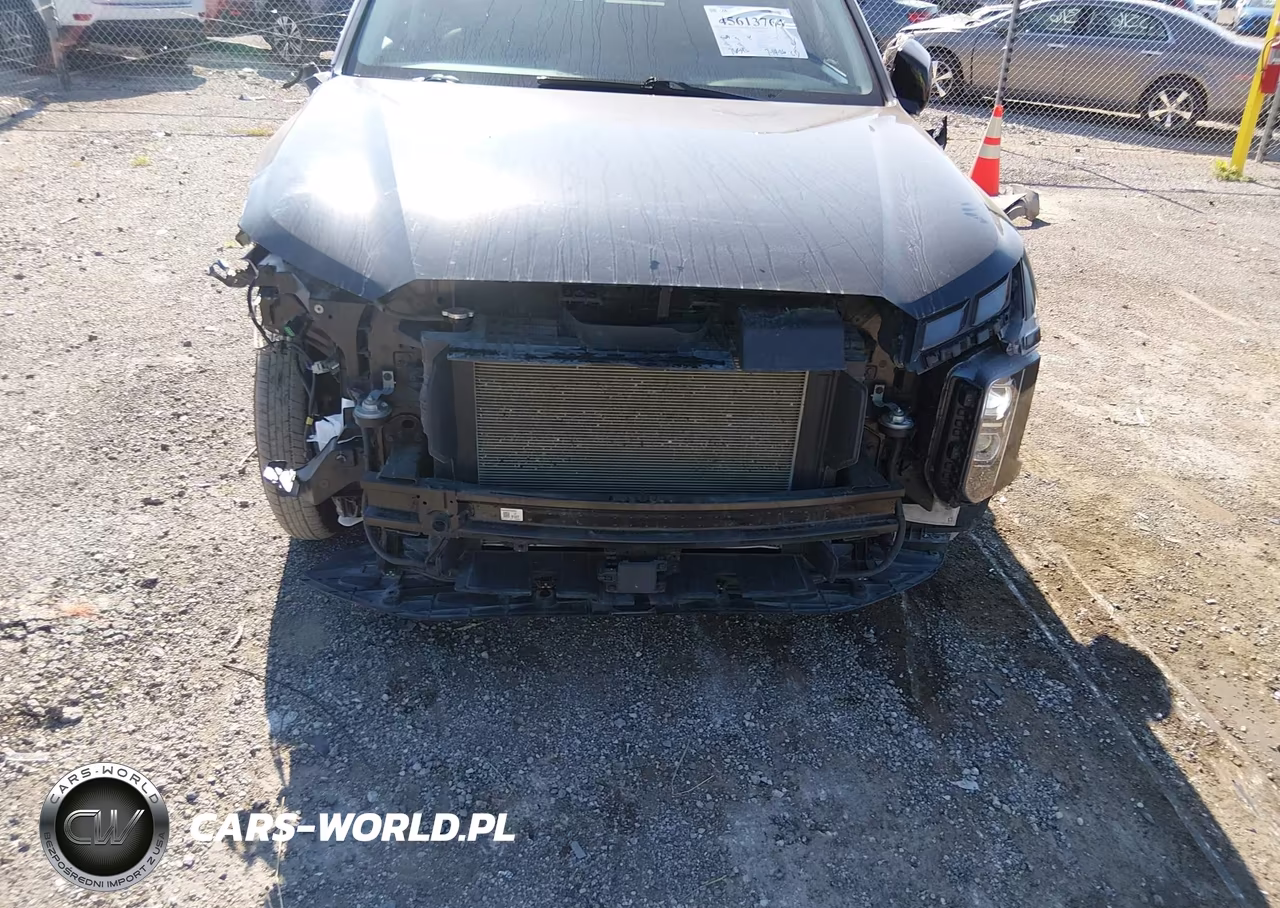 2023 Hyundai Palisade Xrt VIN:KM8R3DGE6PU549742 - 6