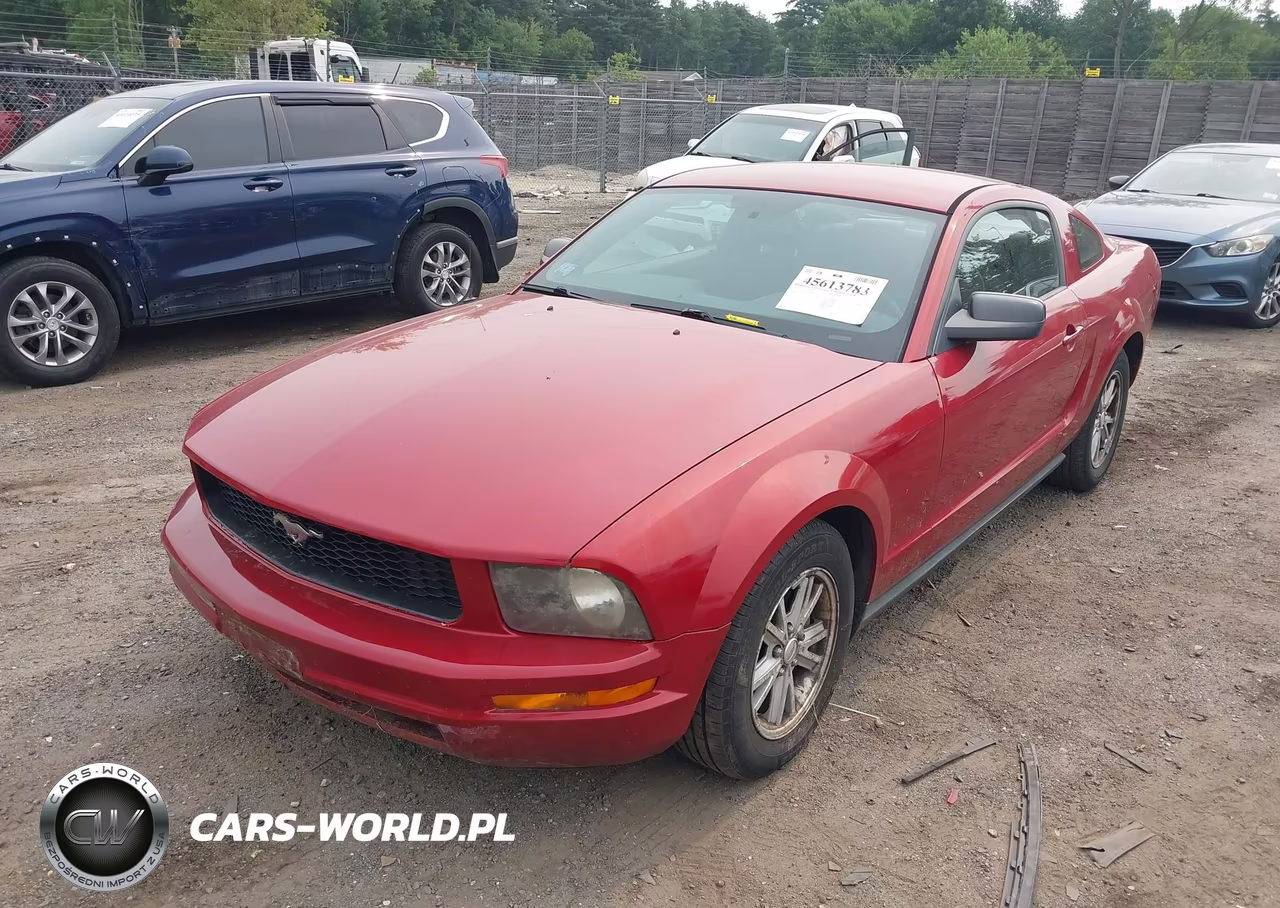 2008 Ford Mustang V6 Deluxe-V6 Premium VIN:1ZVHT80N785199080 - 2