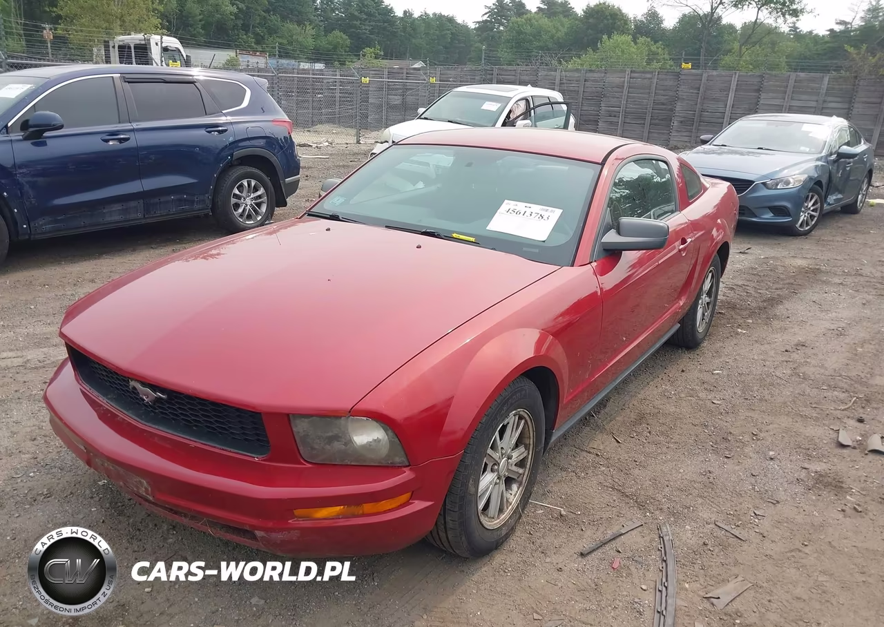2008 Ford Mustang V6 Deluxe-V6 Premium VIN:1ZVHT80N785199080 - 3