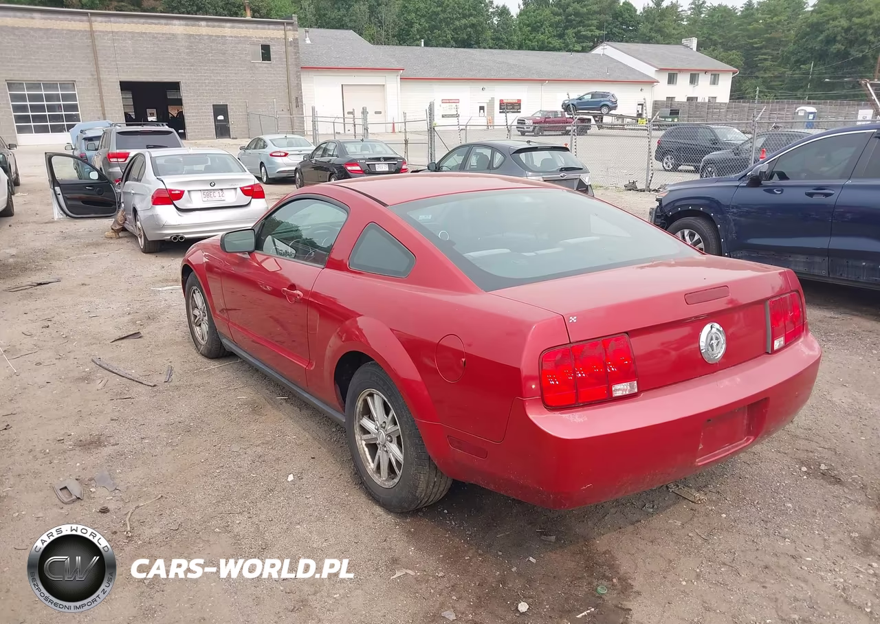 2008 Ford Mustang V6 Deluxe-V6 Premium VIN:1ZVHT80N785199080 - 4