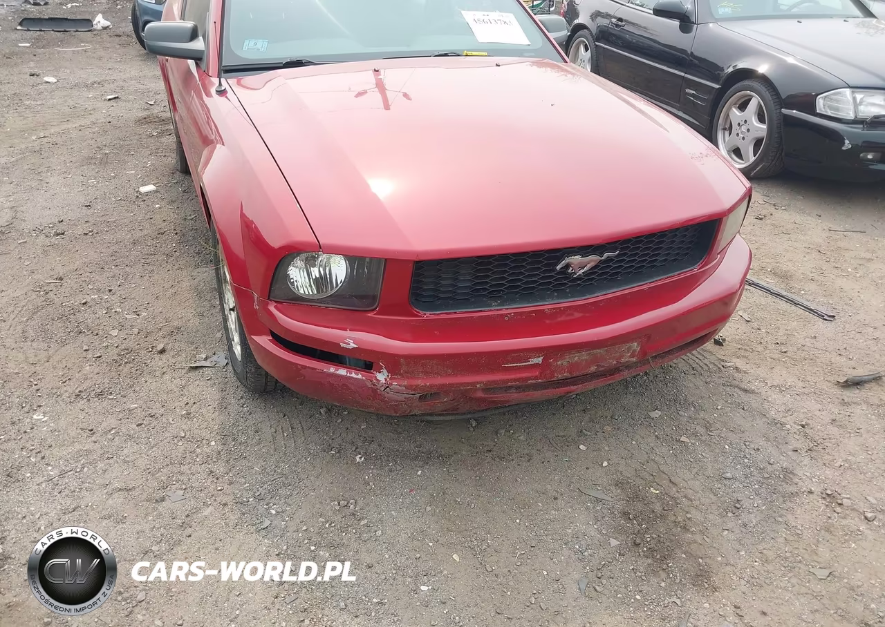 2008 Ford Mustang V6 Deluxe-V6 Premium VIN:1ZVHT80N785199080 - 6