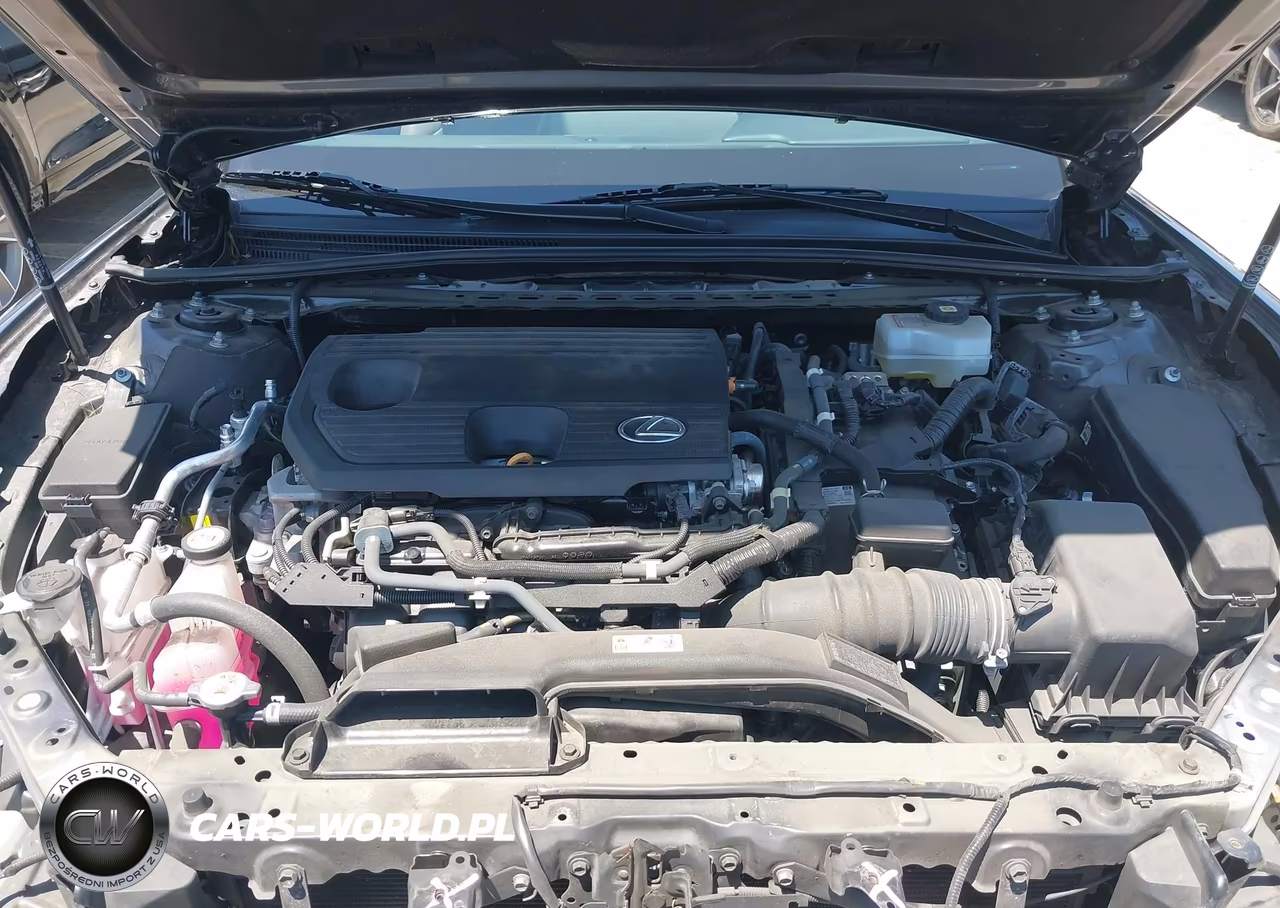 2022 Lexus Es 300H VIN:58ADA1C19NU013469 - 10
