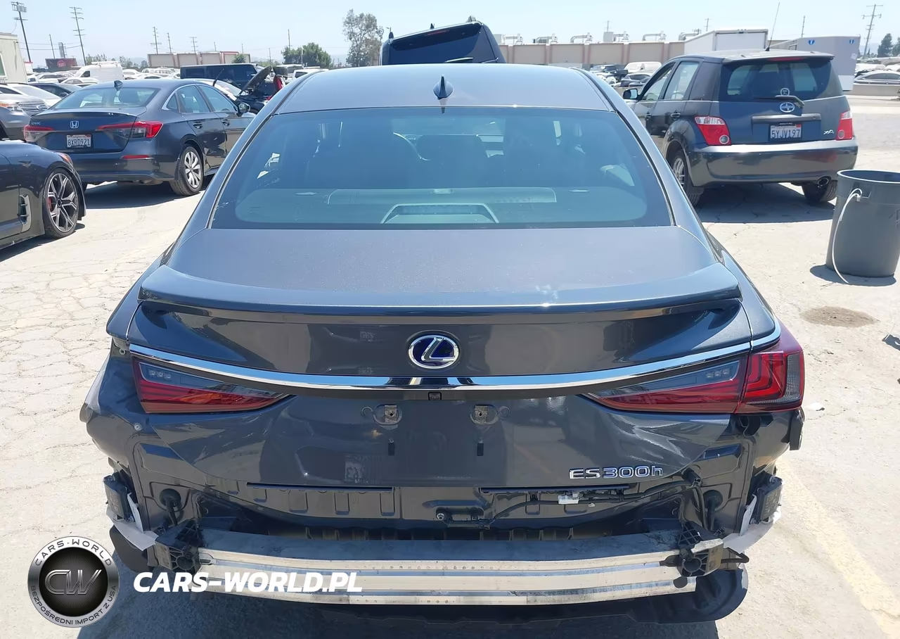 2022 Lexus Es 300H VIN:58ADA1C19NU013469 - 17