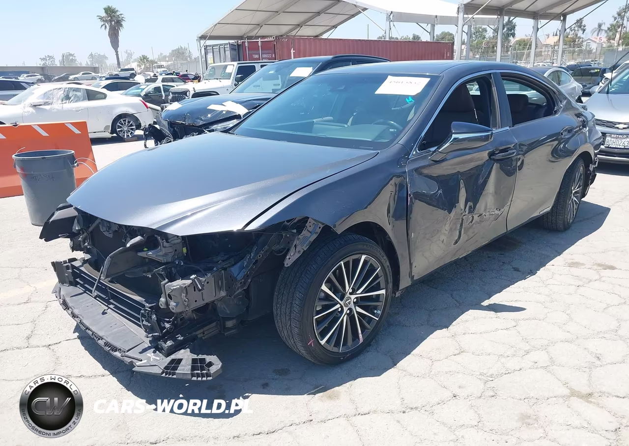 2022 Lexus Es 300H VIN:58ADA1C19NU013469 - 2