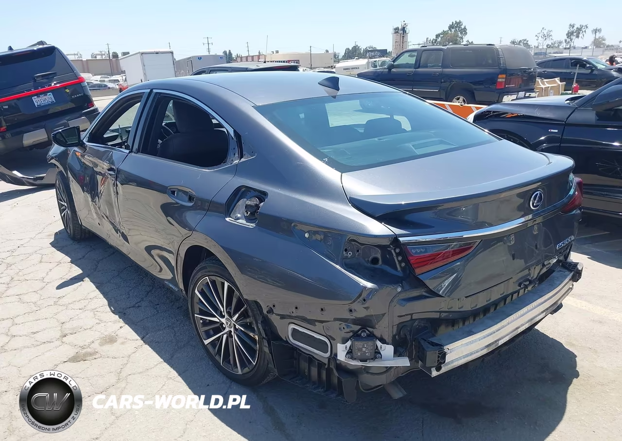 2022 Lexus Es 300H VIN:58ADA1C19NU013469 - 3