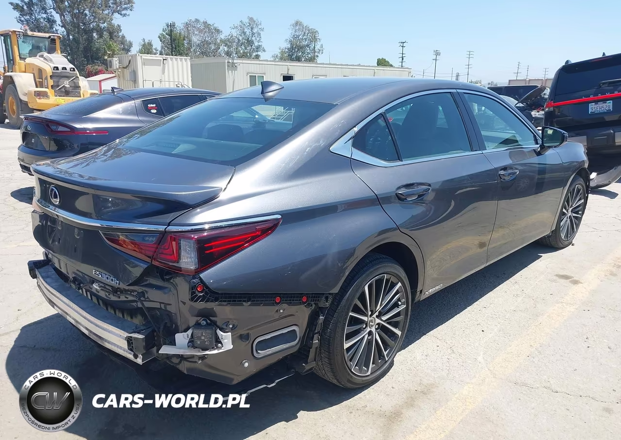 2022 Lexus Es 300H VIN:58ADA1C19NU013469 - 4
