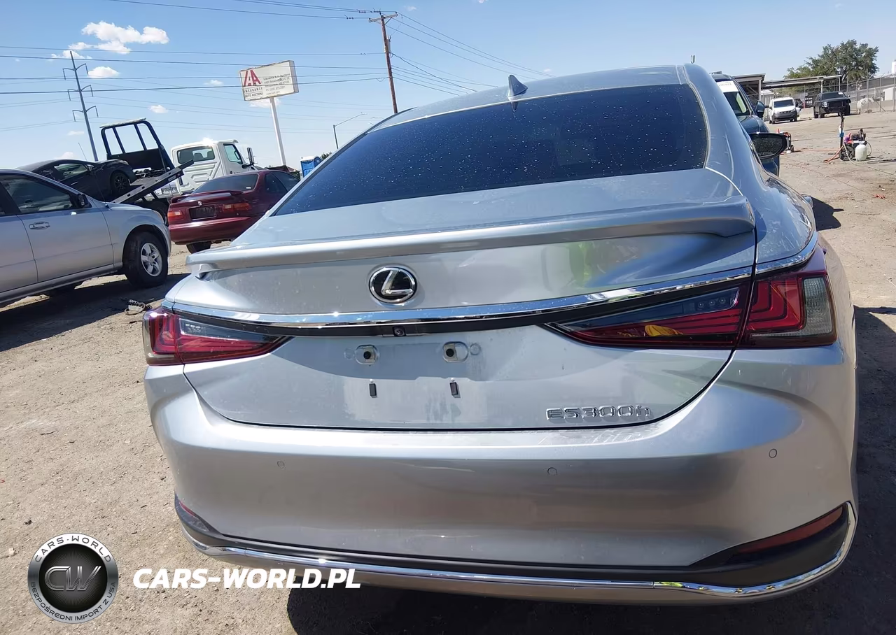 2023 Lexus Es 300H VIN:58ADA1C13PU031078 - 16