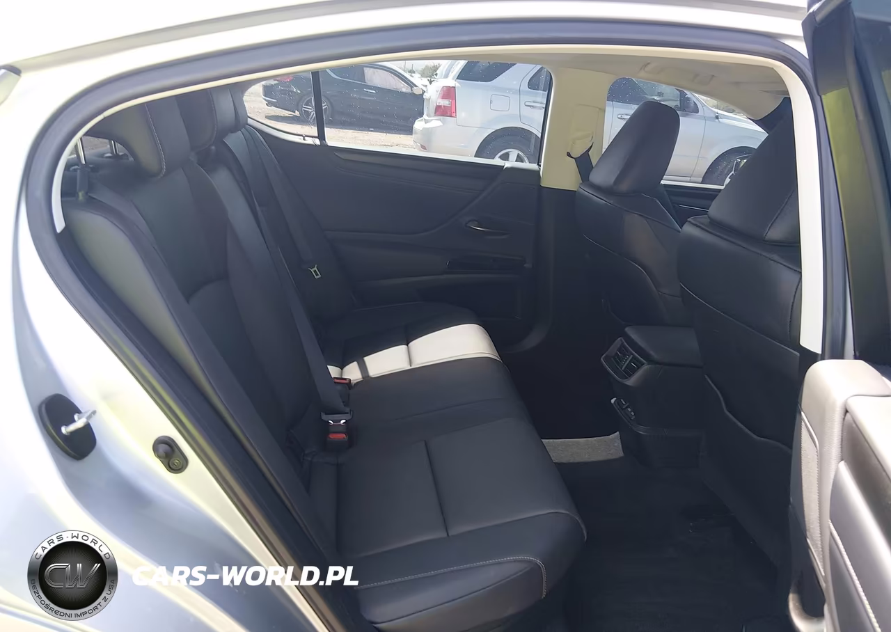 2023 Lexus Es 300H VIN:58ADA1C13PU031078 - 8