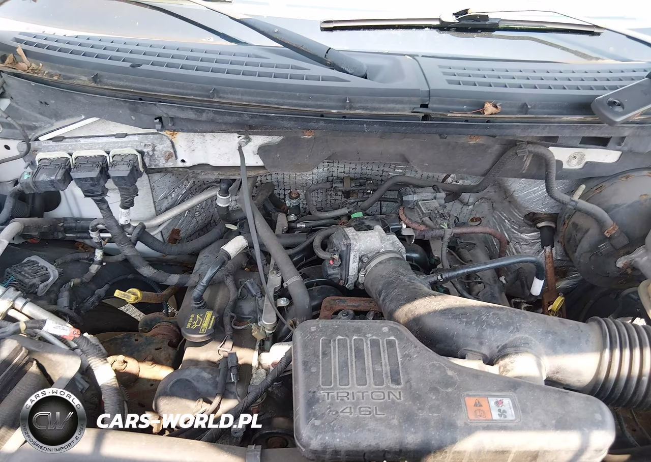 2010 Ford F-150 Stx-Xl-Xl W-Mid-Box Prep-Xlt-Xlt W-Mid-Box Prep VIN:1FTMF1CW2AKB05313 - 10