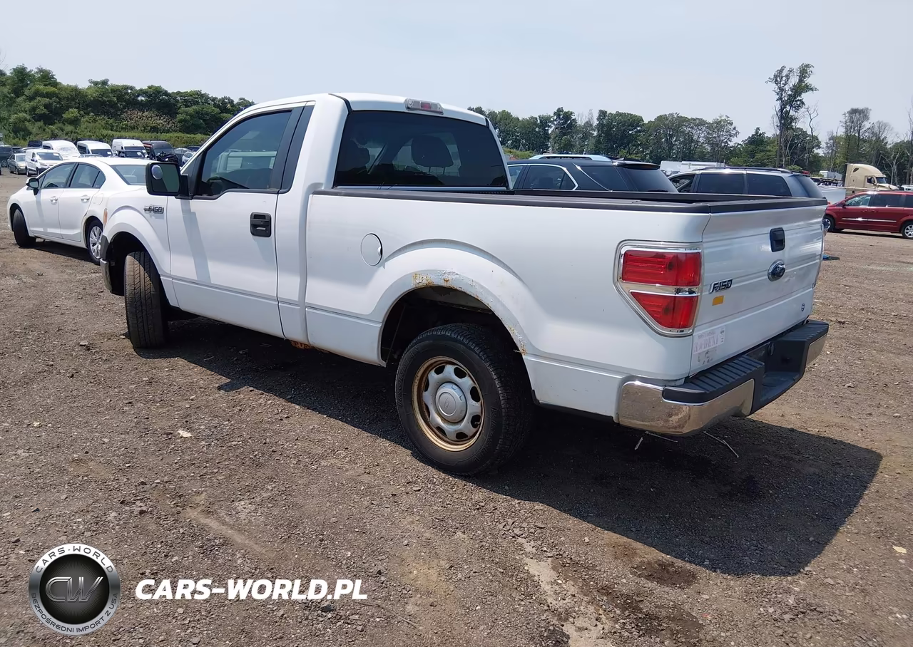 2010 Ford F-150 Stx-Xl-Xl W-Mid-Box Prep-Xlt-Xlt W-Mid-Box Prep VIN:1FTMF1CW2AKB05313 - 3