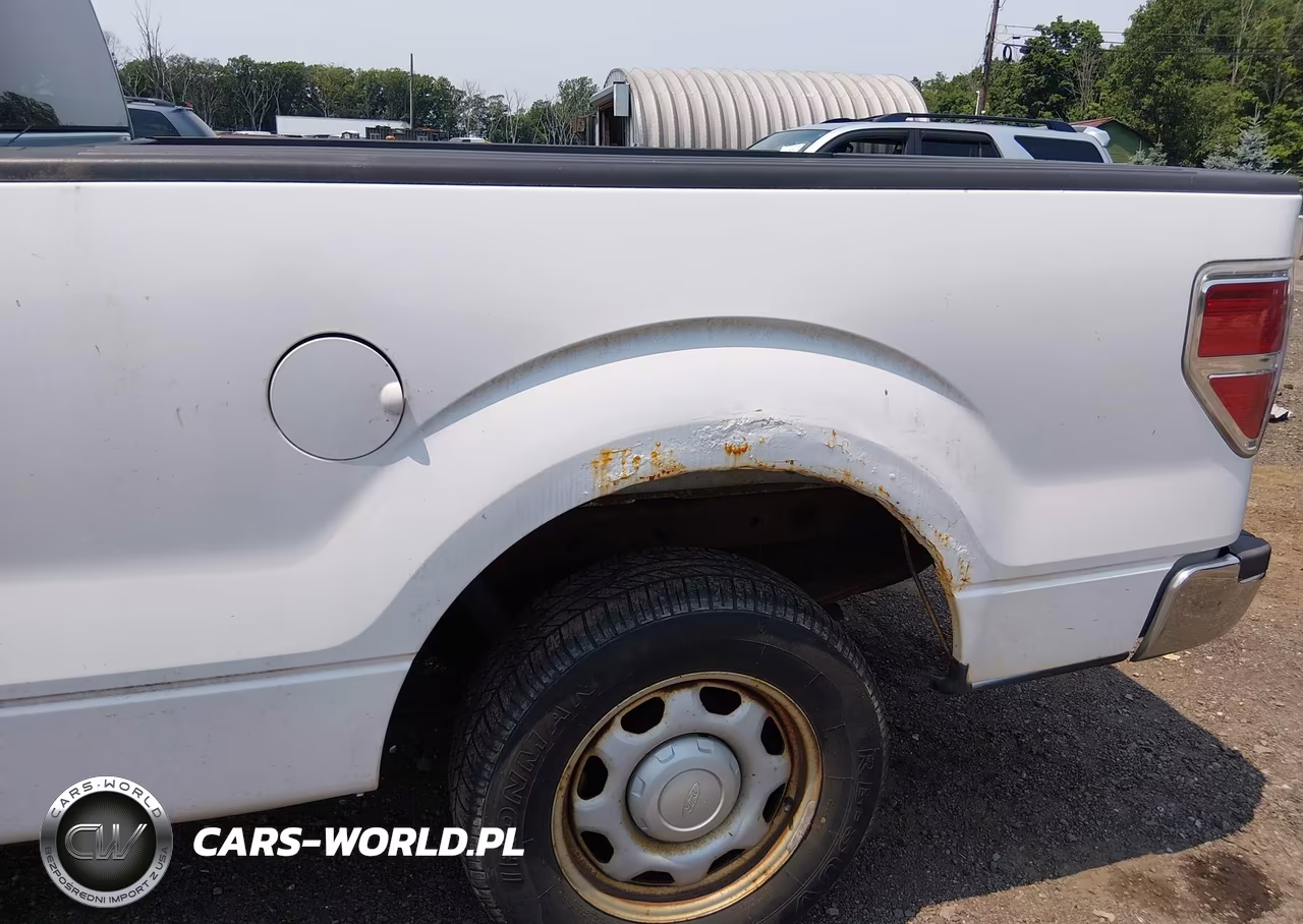 2010 Ford F-150 Stx-Xl-Xl W-Mid-Box Prep-Xlt-Xlt W-Mid-Box Prep VIN:1FTMF1CW2AKB05313 - 6