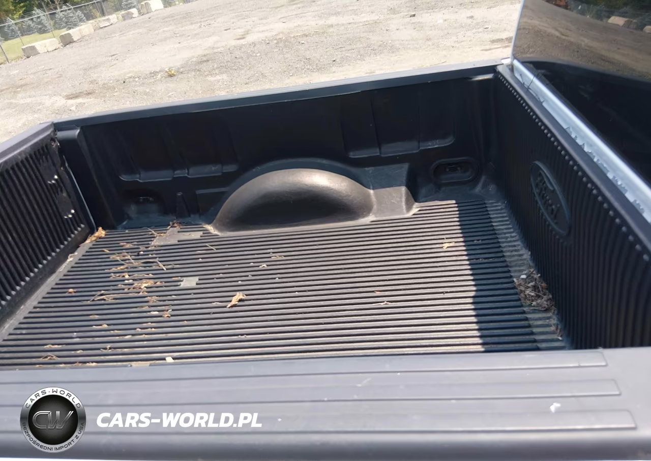 2010 Ford F-150 Stx-Xl-Xl W-Mid-Box Prep-Xlt-Xlt W-Mid-Box Prep VIN:1FTMF1CW2AKB05313 - 8