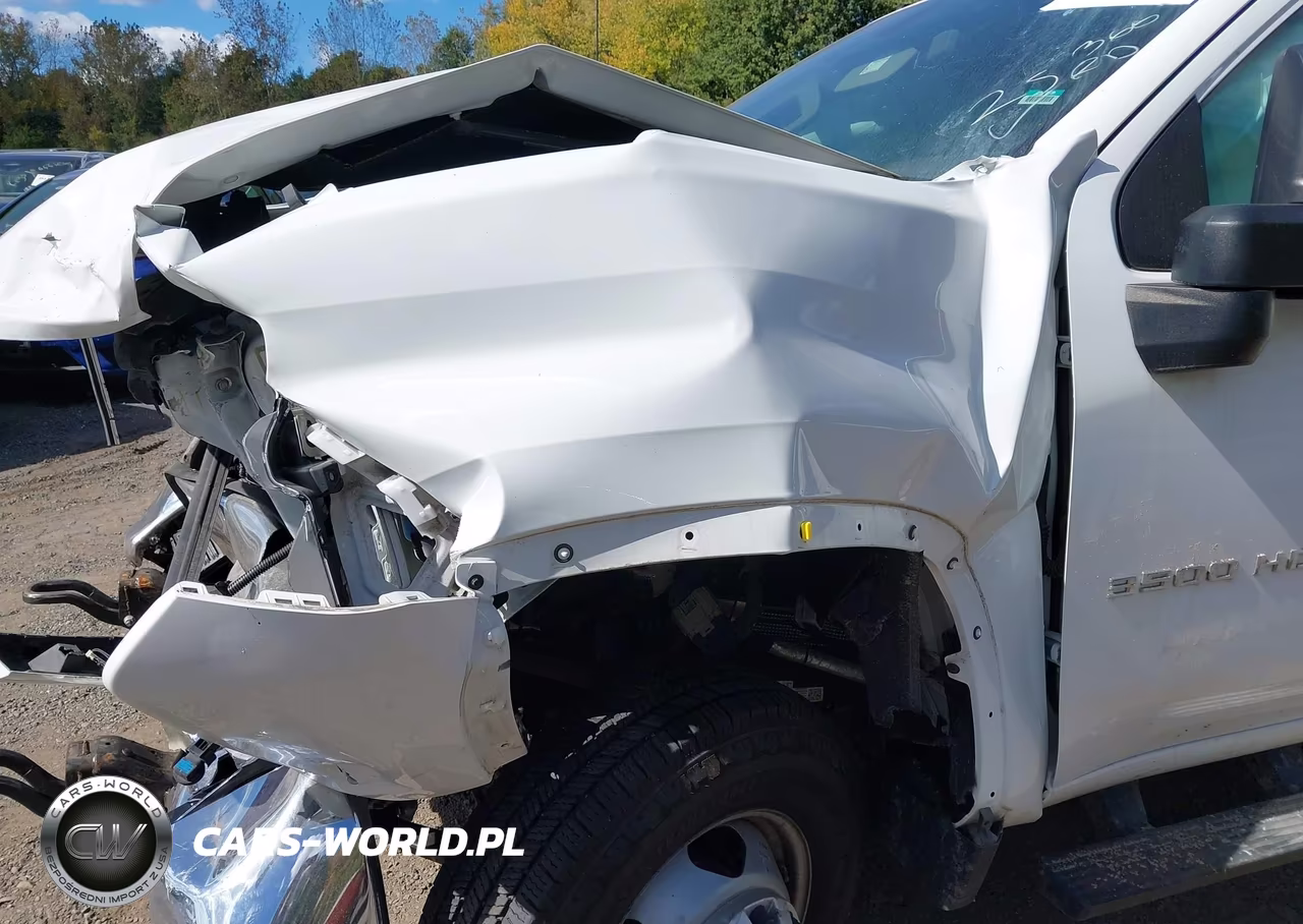 2022 Chevrolet Silverado 3500Hd Chassis Work Truck VIN:1GB3WRE72NF142882 - 16