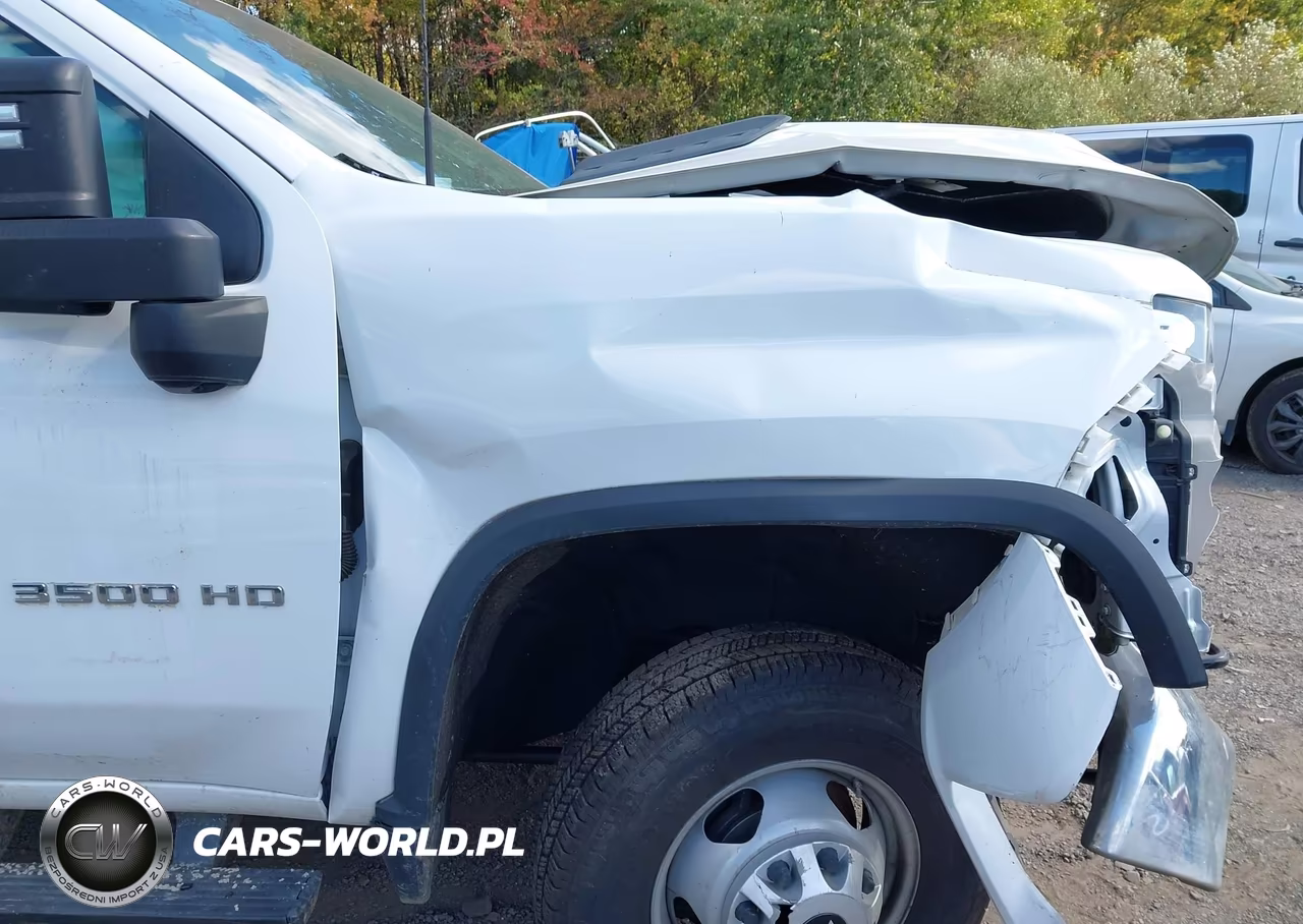 2022 Chevrolet Silverado 3500Hd Chassis Work Truck VIN:1GB3WRE72NF142882 - 18