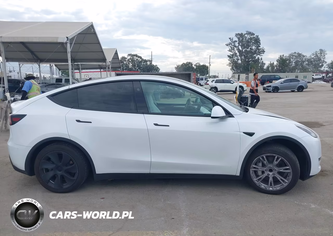 2024 Tesla Model Y Long Range Single Motor Rear-Wheel Drive-Rwd VIN:7SAYGDED1RF011396 - 12