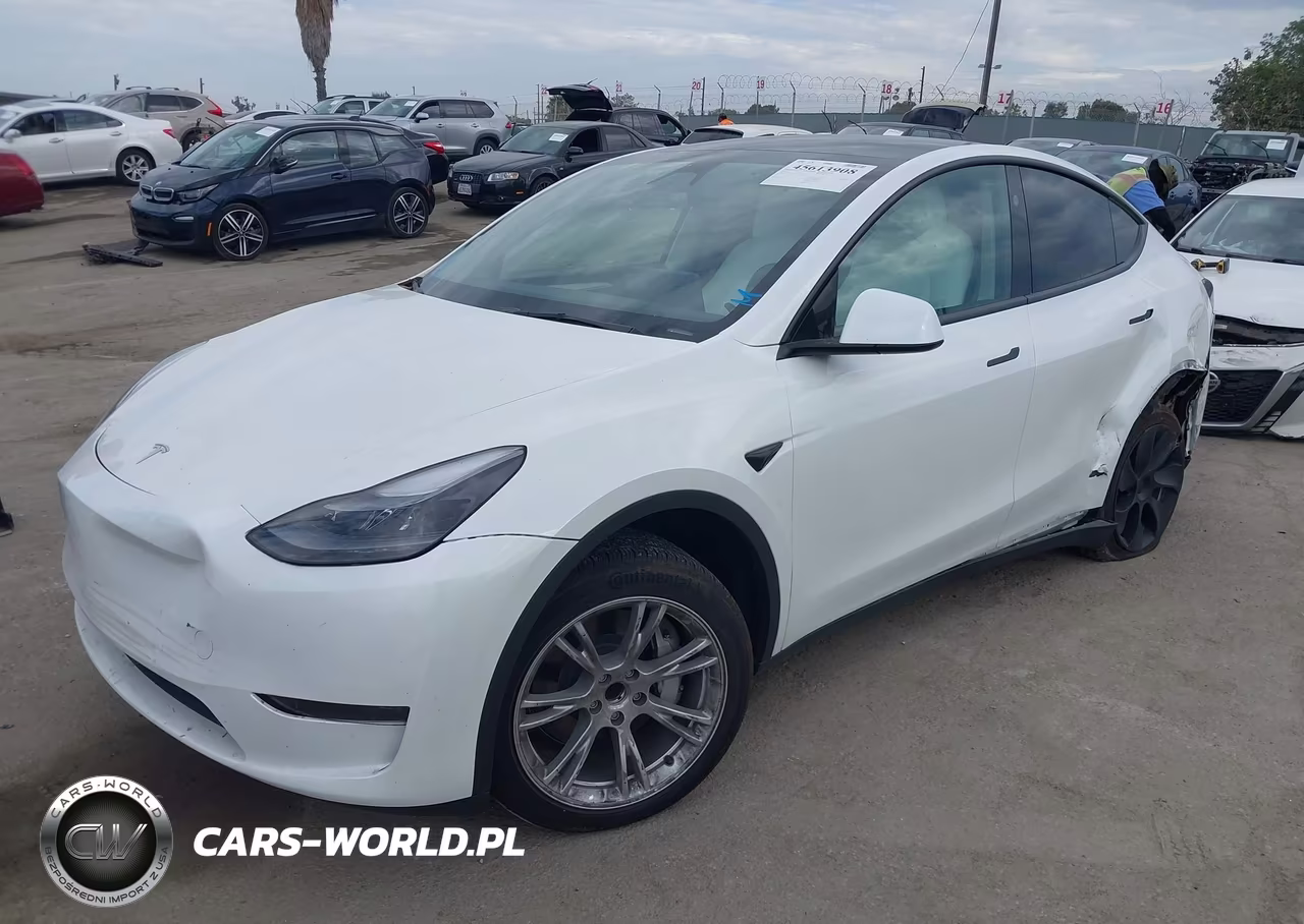2024 Tesla Model Y Long Range Single Motor Rear-Wheel Drive-Rwd VIN:7SAYGDED1RF011396 - 2