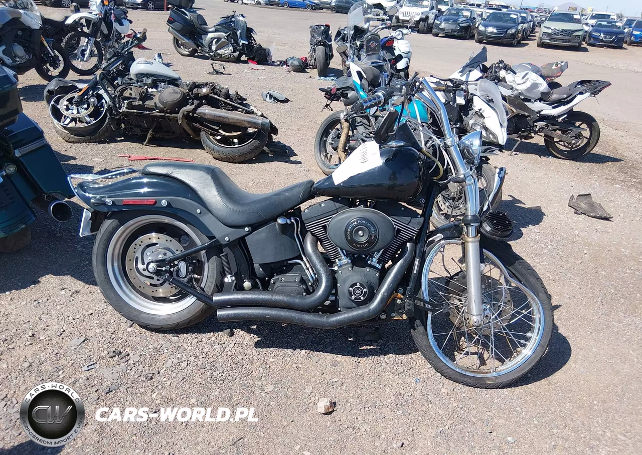 2006 Harley-Davidson Fxstbi VIN:1HD1JAB156Y041519 - 11