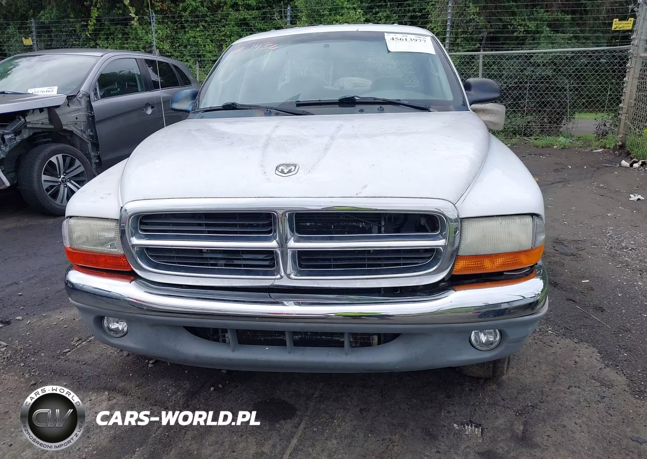 2003 Dodge Dakota Slt VIN:1D7HL48X93S295875 - 11