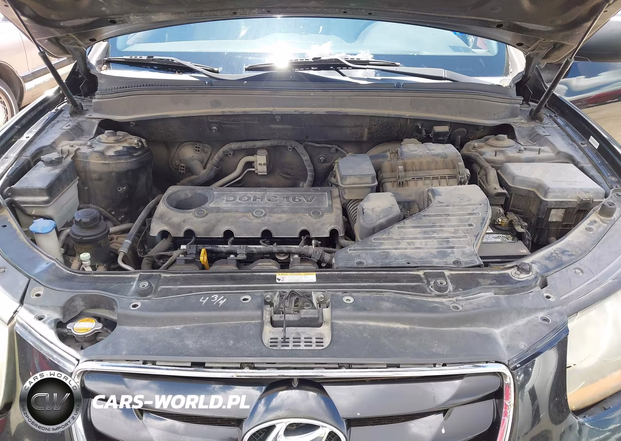 2010 Hyundai Santa Fe Gls VIN:5NMSG3AB9AH335894 - 10