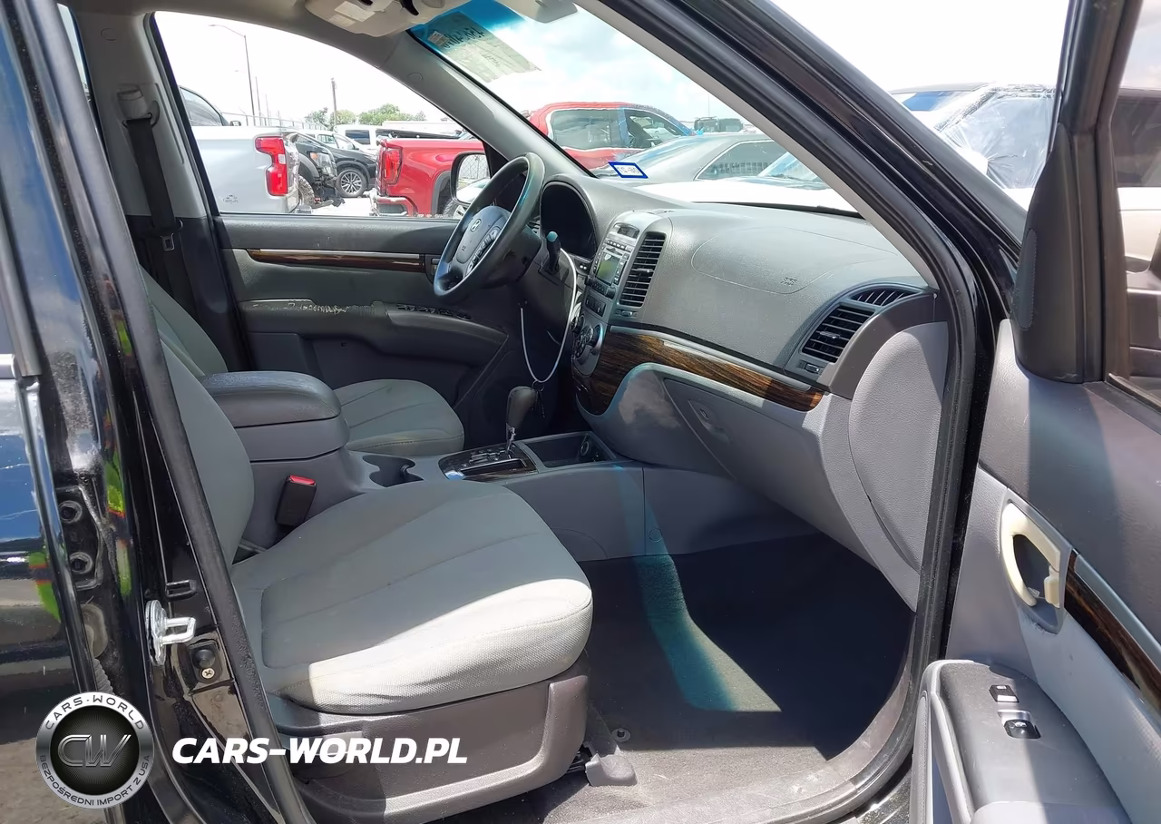 2010 Hyundai Santa Fe Gls VIN:5NMSG3AB9AH335894 - 5