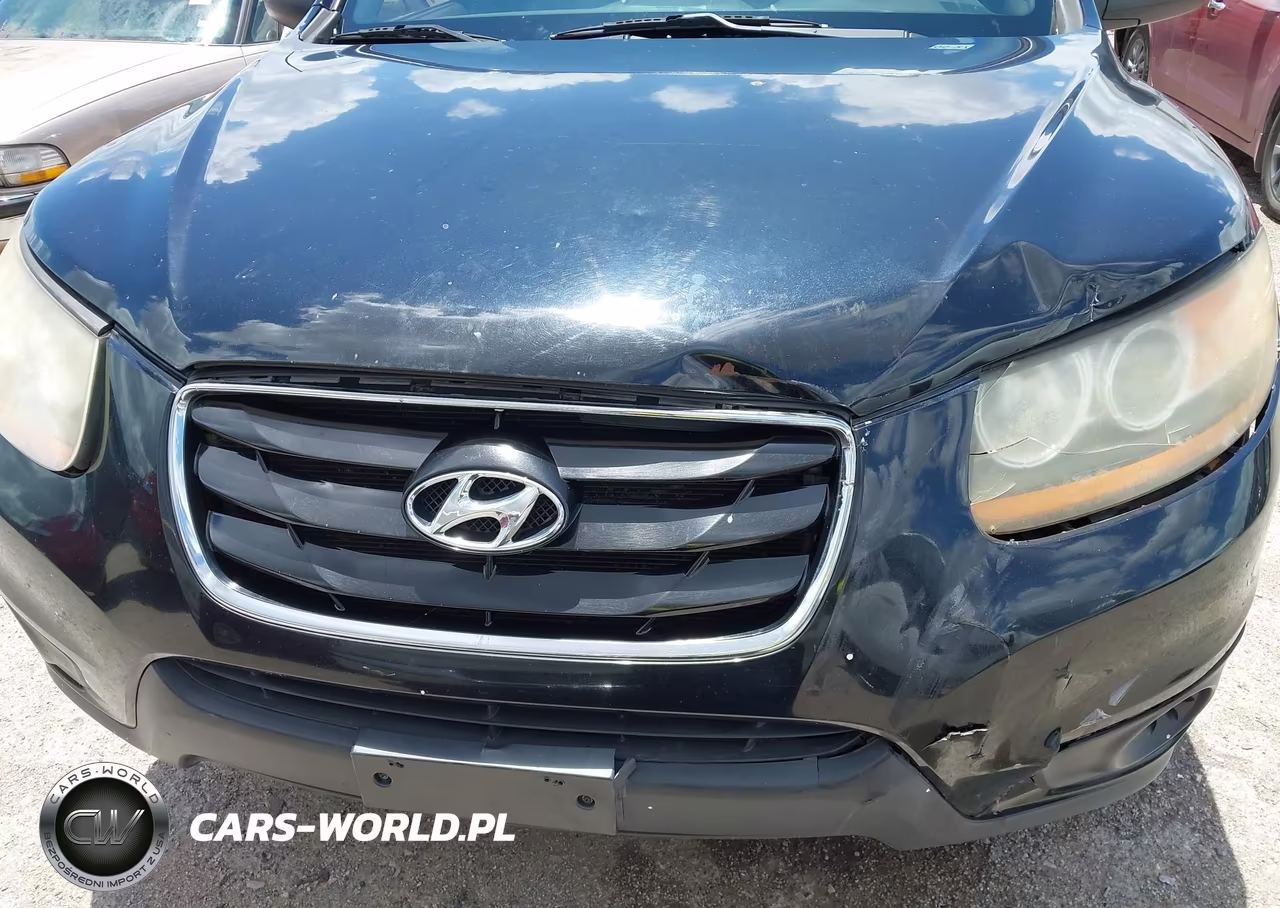 2010 Hyundai Santa Fe Gls VIN:5NMSG3AB9AH335894 - 6