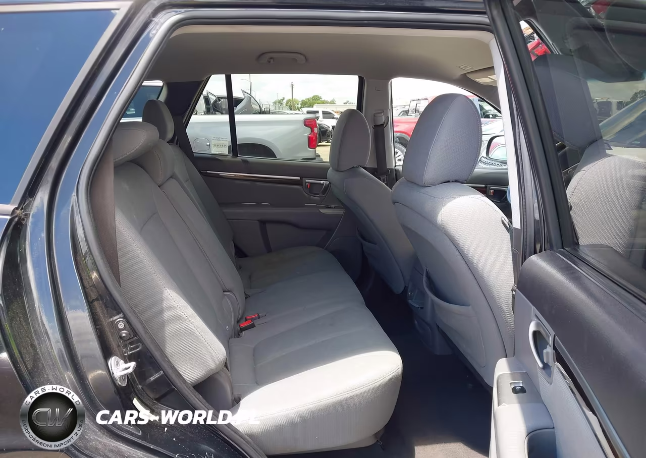 2010 Hyundai Santa Fe Gls VIN:5NMSG3AB9AH335894 - 8