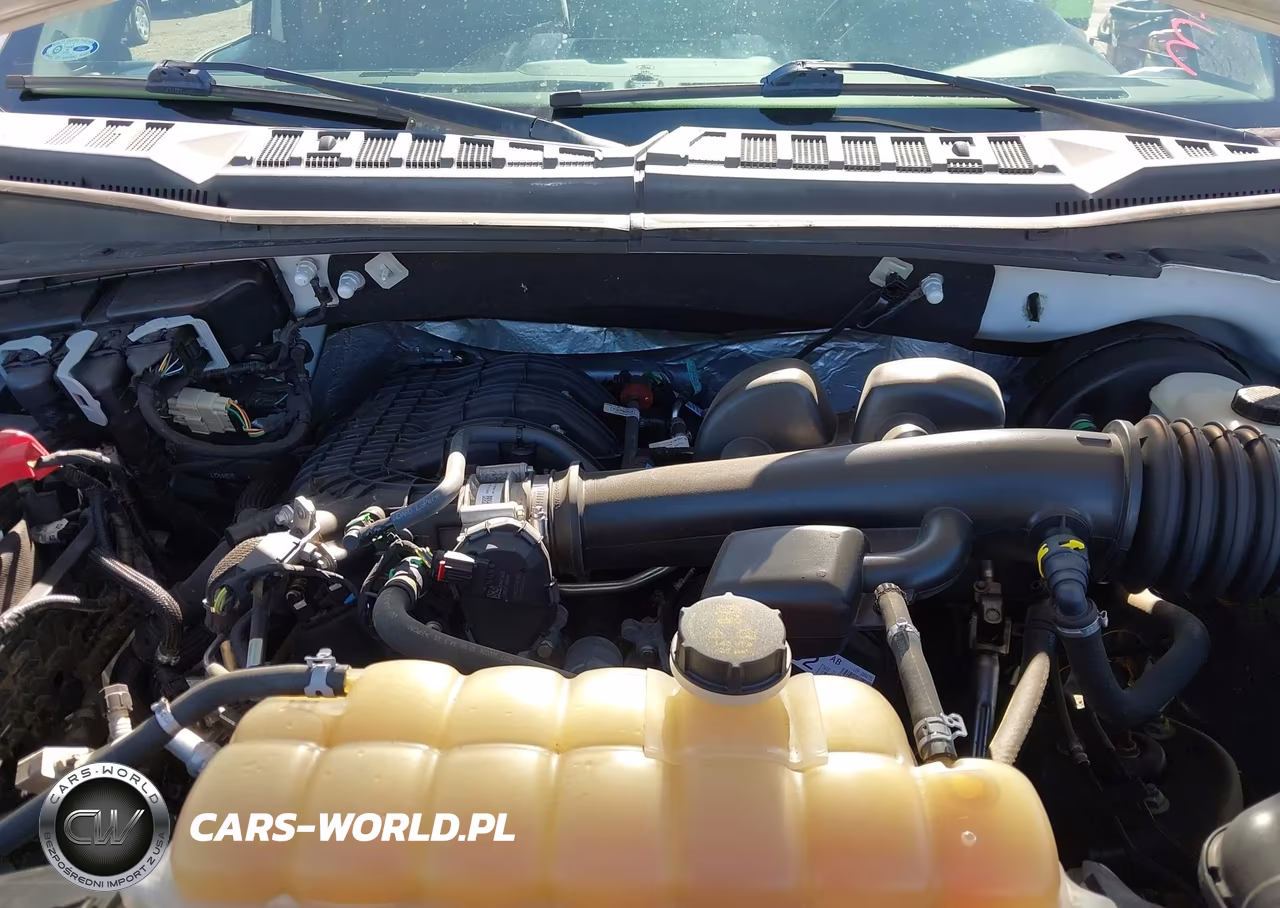 2019 Ford F-150 Xl VIN:1FTMF1CB9KKD13252 - 10