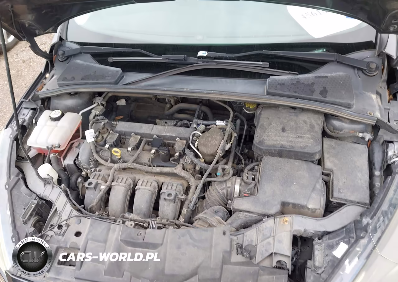 2016 Ford Focus Se VIN:1FADP3K21GL311982 - 10