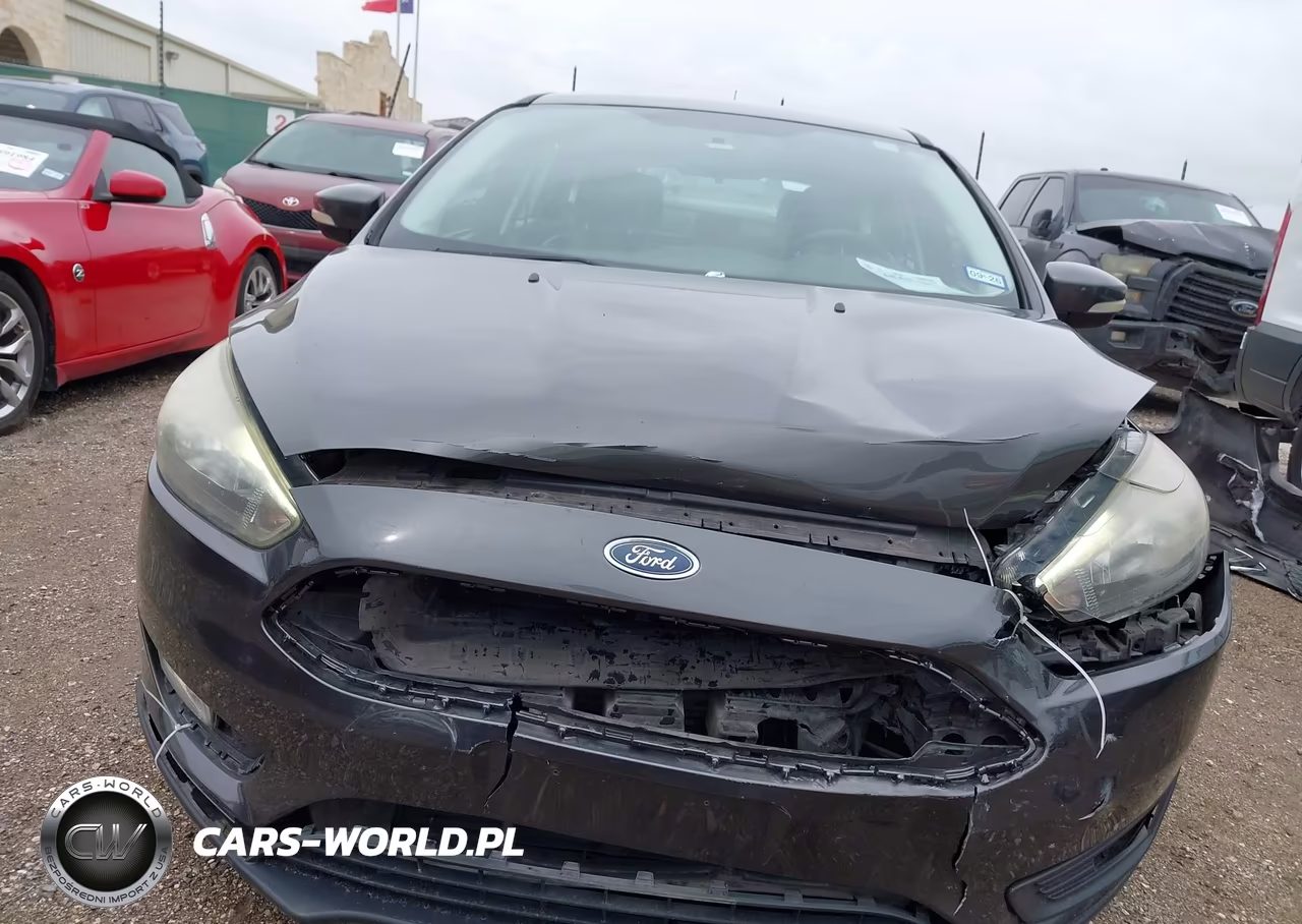 2016 Ford Focus Se VIN:1FADP3K21GL311982 - 13