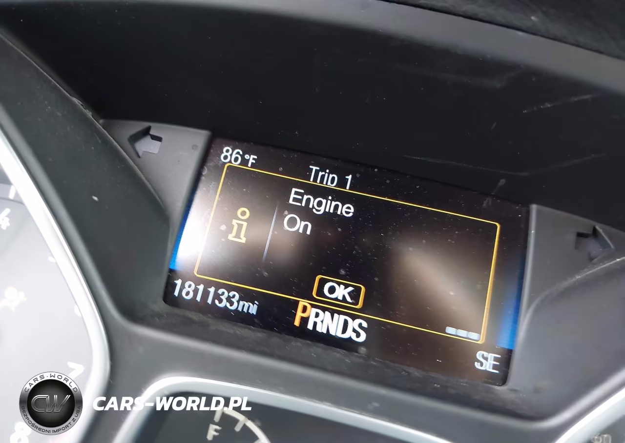 2016 Ford Focus Se VIN:1FADP3K21GL311982 - 16