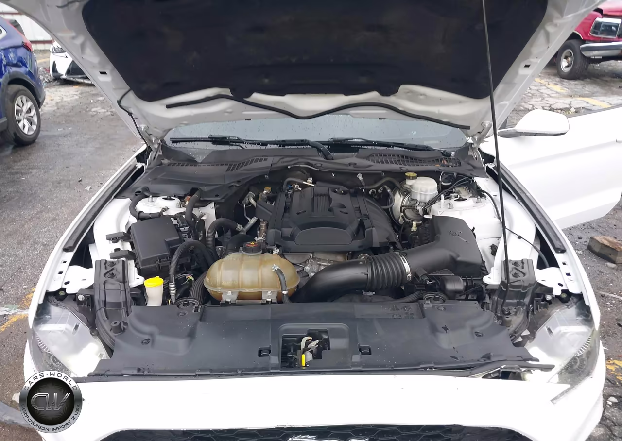 2018 Ford Mustang Ecoboost VIN:1FA6P8TH9J5185522 - 10