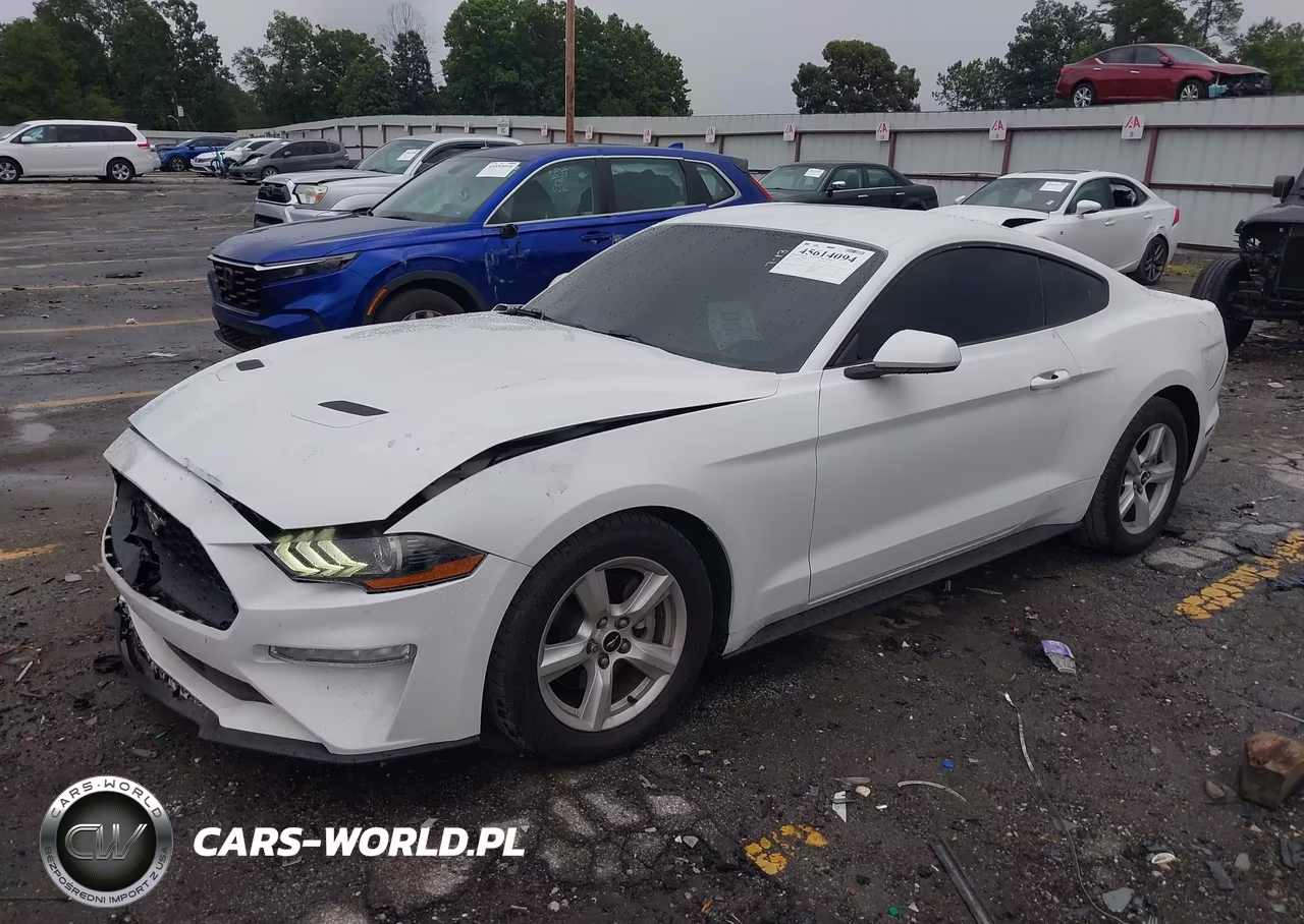 2018 Ford Mustang Ecoboost VIN:1FA6P8TH9J5185522 - 2