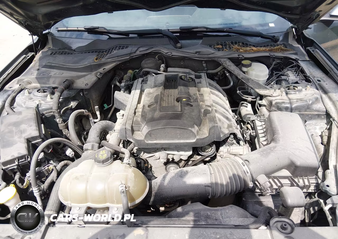 2015 Ford Mustang Ecoboost VIN:1FA6P8TH3F5343263 - 10