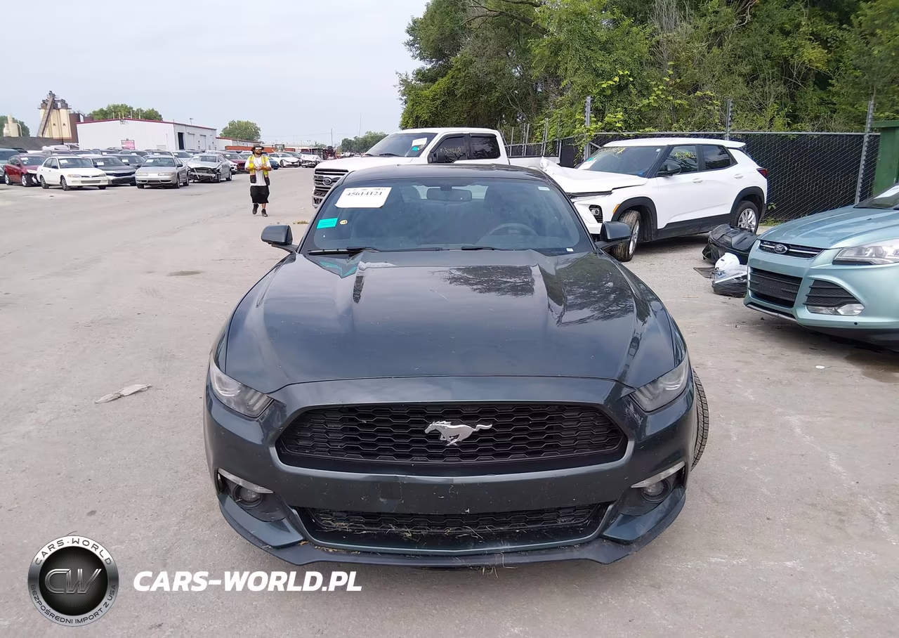 2015 Ford Mustang Ecoboost VIN:1FA6P8TH3F5343263 - 13