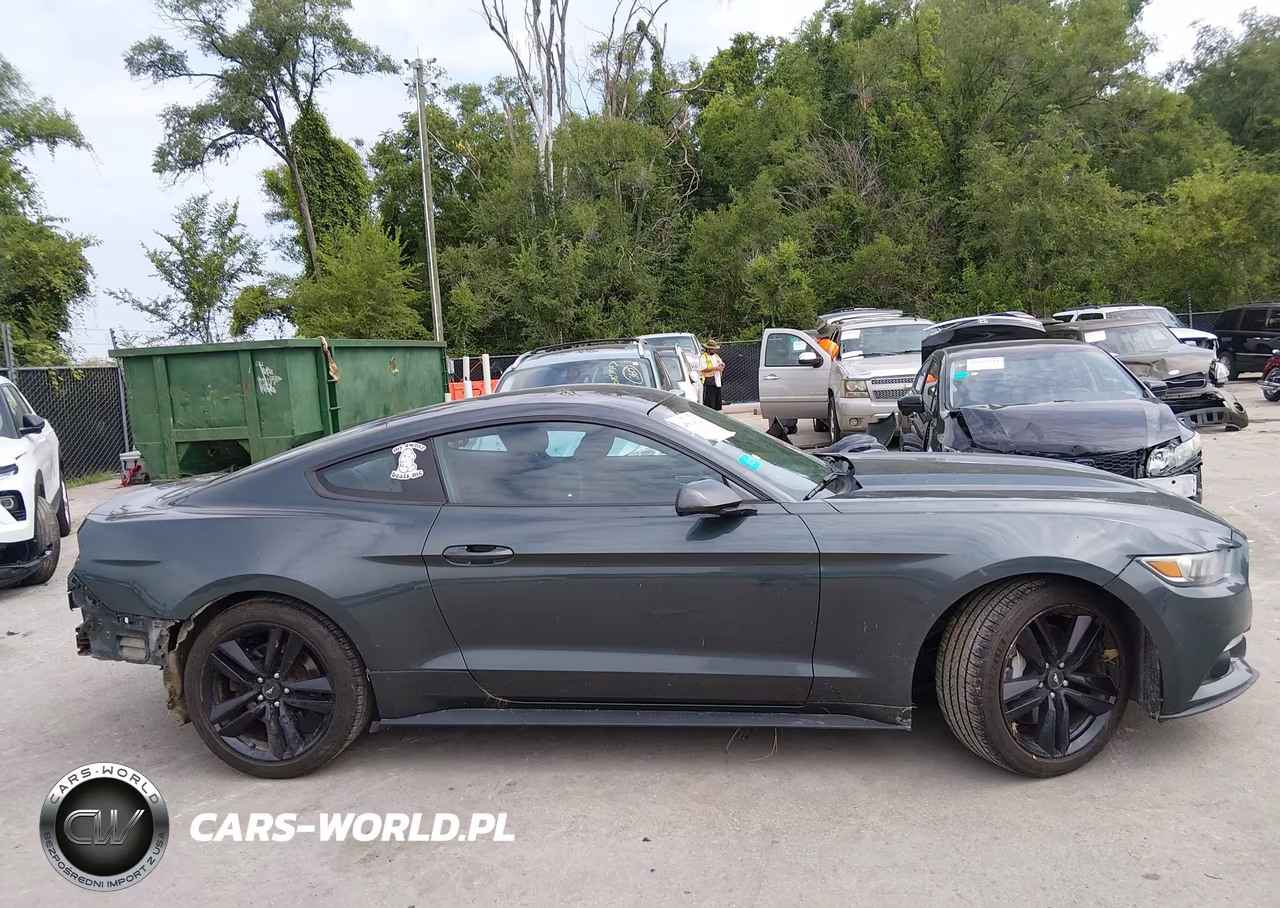 2015 Ford Mustang Ecoboost VIN:1FA6P8TH3F5343263 - 14