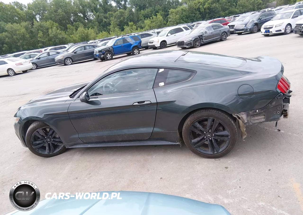 2015 Ford Mustang Ecoboost VIN:1FA6P8TH3F5343263 - 15