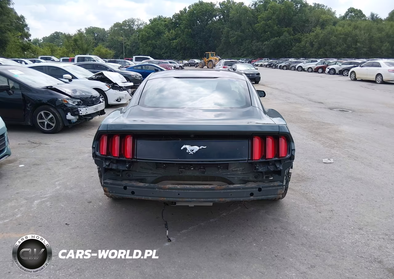 2015 Ford Mustang Ecoboost VIN:1FA6P8TH3F5343263 - 17