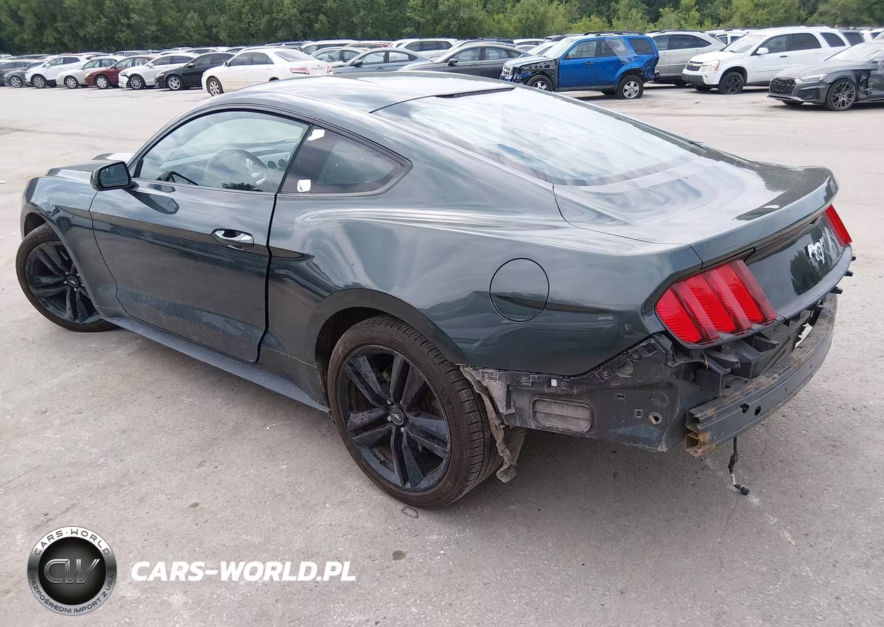 2015 Ford Mustang Ecoboost VIN:1FA6P8TH3F5343263 - 3