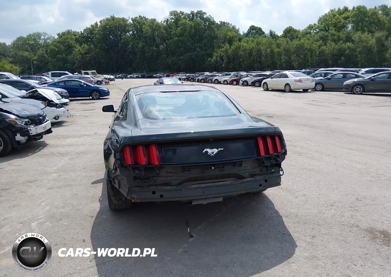 2015 Ford Mustang Ecoboost VIN:1FA6P8TH3F5343263 - 6