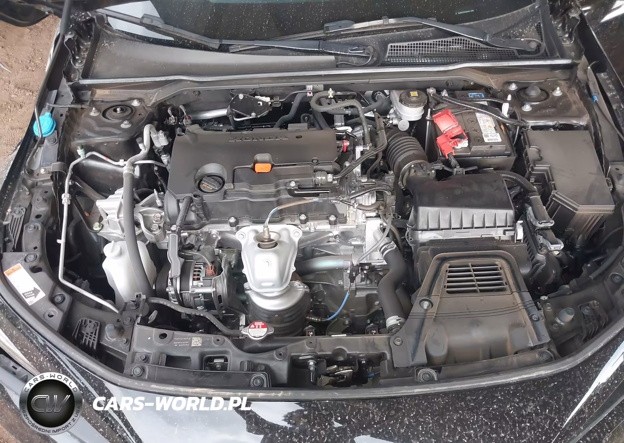 2024 Honda Civic Sport VIN:2HGFE2F5XRH511686 - 10