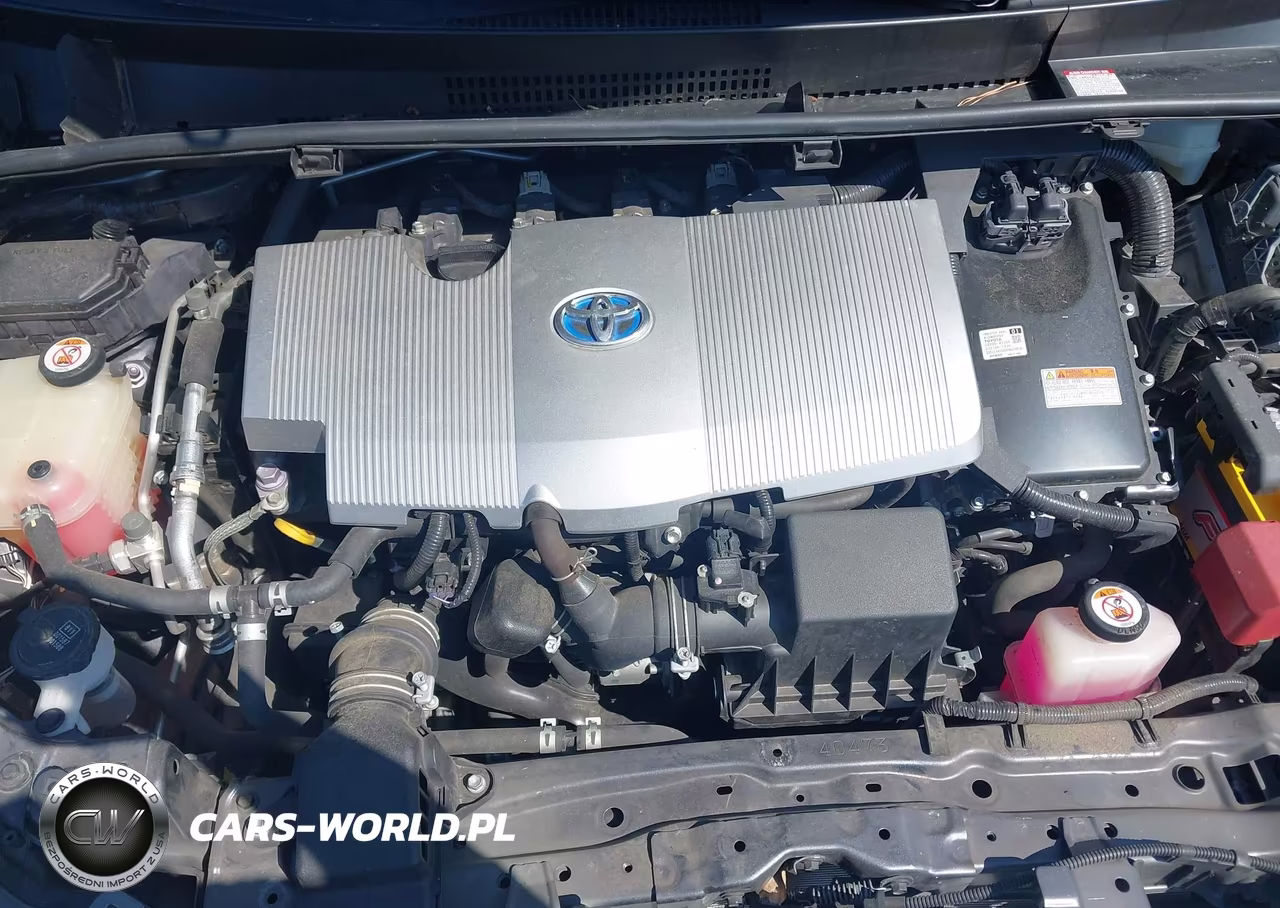 2019 Toyota Prius Limited VIN:JTDKARFU1K3071102 - 10