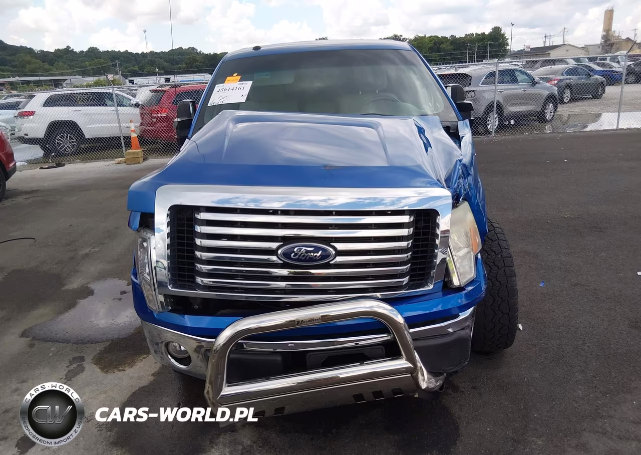 2010 Ford F-150 Fx4-Harley-Davidson-King Ranch-Lariat-Platinum-Xl-Xlt VIN:1FTFW1EV6AFB41138 - 12
