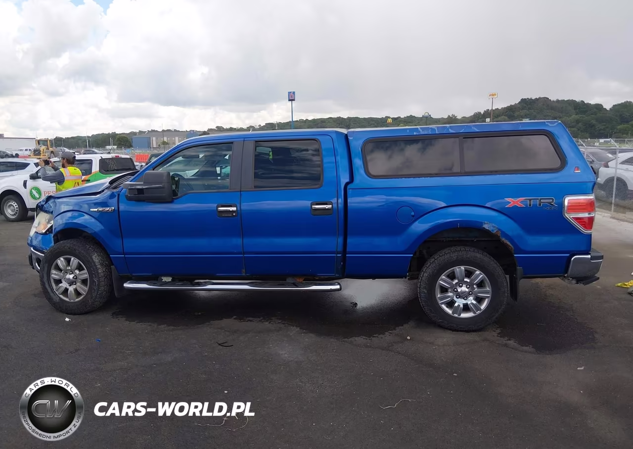 2010 Ford F-150 Fx4-Harley-Davidson-King Ranch-Lariat-Platinum-Xl-Xlt VIN:1FTFW1EV6AFB41138 - 14