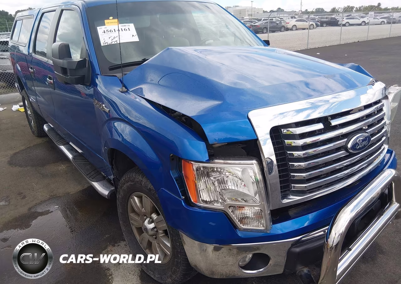 2010 Ford F-150 Fx4-Harley-Davidson-King Ranch-Lariat-Platinum-Xl-Xlt VIN:1FTFW1EV6AFB41138 - 19