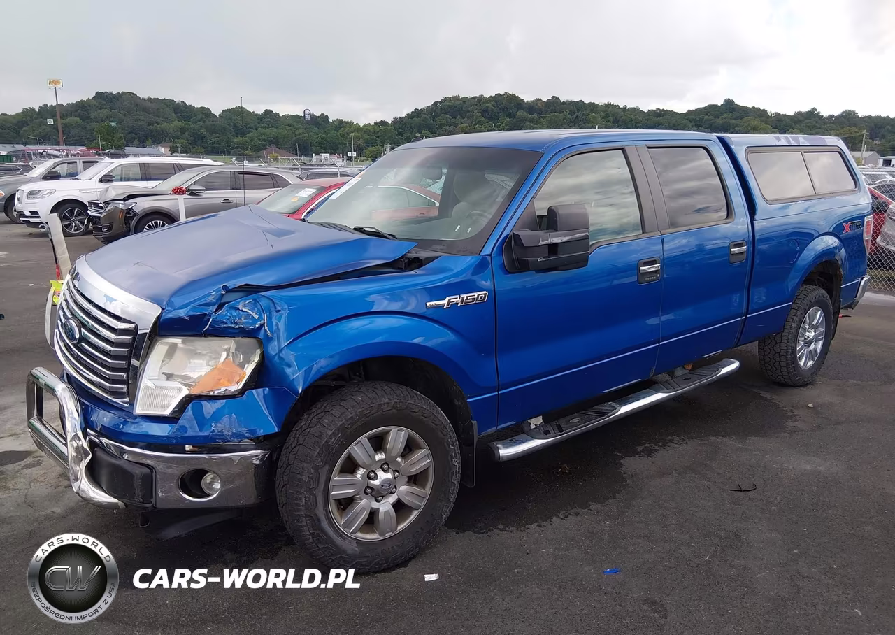 2010 Ford F-150 Fx4-Harley-Davidson-King Ranch-Lariat-Platinum-Xl-Xlt VIN:1FTFW1EV6AFB41138 - 2