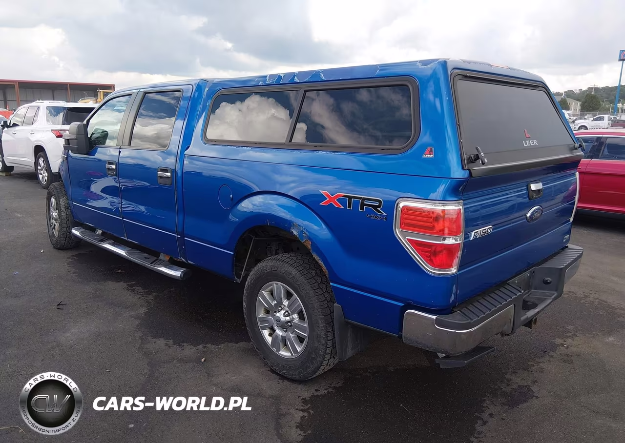 2010 Ford F-150 Fx4-Harley-Davidson-King Ranch-Lariat-Platinum-Xl-Xlt VIN:1FTFW1EV6AFB41138 - 3