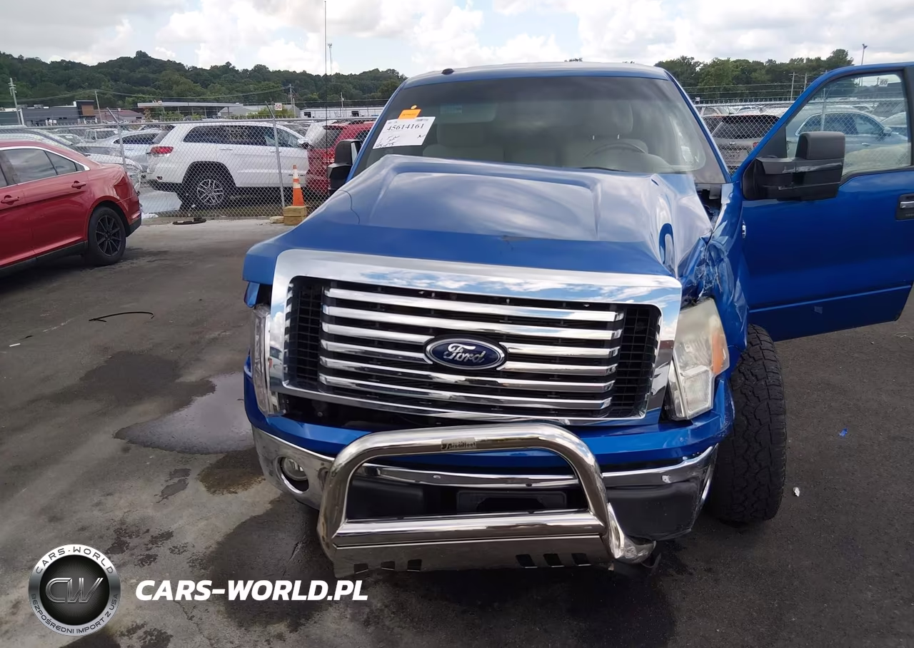 2010 Ford F-150 Fx4-Harley-Davidson-King Ranch-Lariat-Platinum-Xl-Xlt VIN:1FTFW1EV6AFB41138 - 6